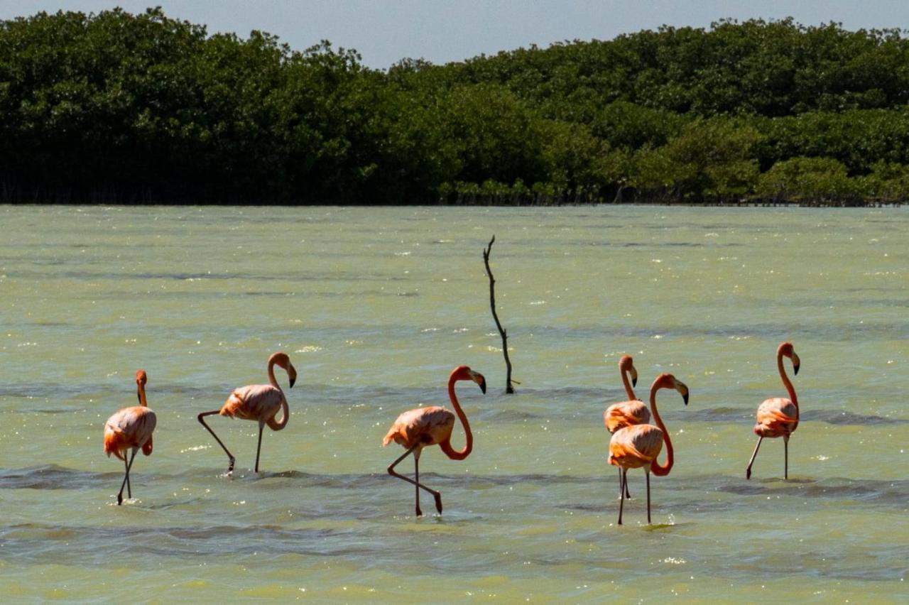 El Aplatanao Hotel Pedernales Bagian luar foto